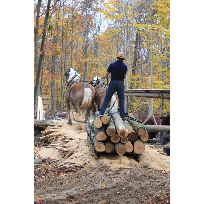 2 Red Oak Wood Lumber Boards Measuring 1/4" x 4"