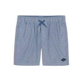 Billabong Boys Layback Elastic Waist Pull-On Shorts, Bay Blue Larry