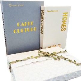 BoisduBois Decorative Books Set of 2 - Fake Books for Decoration, Designer Book Set for Home Decor, Faux Book for Coffee Table, Bookshelf Mantle Decor Aestheti