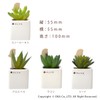 OKA PLYS Pris Green with Small Bird Stick Fuser, Fake