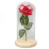 Rose in Glass Dome Lucky Beautiful Symbolism Romantic Enchanted Rose