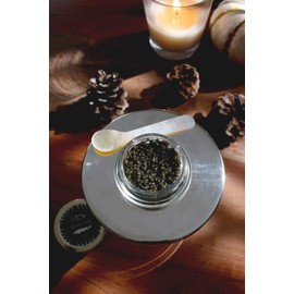 Caviar Star Luxurious MALOSSOL Siberian Sturgeon Caviar - Sustainably Farmed Premium Acipenser Baerii Roe - Gourmet Delicacy with Rich, Buttery, Nutty Flavor - 1 Ounce