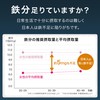 サプリクラフト 鉄分 6mg × 200粒 の2袋セット 小さいタブレット 【13.2ヶ月分/薬剤師監修】 国内製造 サプリ
