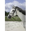 Riding World Mexican Horse Bridle Bridle