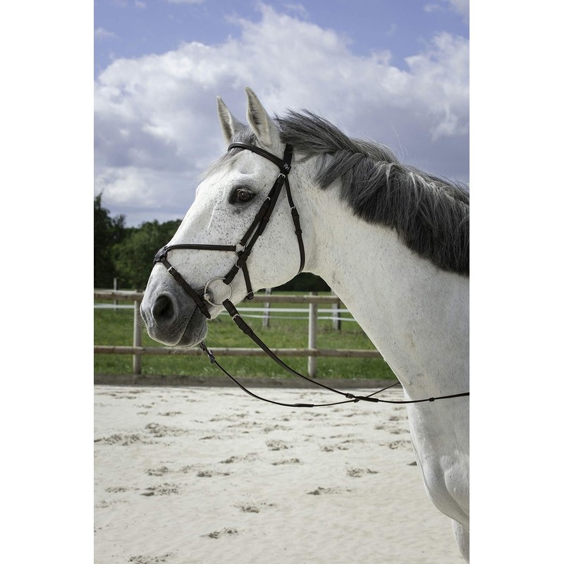 Riding World Mexican Horse Bridle Bridle