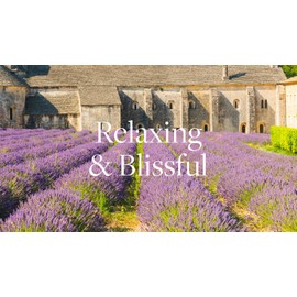 Aera Go Lavender Car Fragrance Scent Refill - Notes of Chamomile and Cedar Leaf - Works with the Aera Go Diffuser for Car