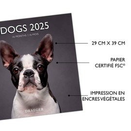 DRAEGER PARIS 1886 | Large Wall Calendar 29 x 29 cm 2025 | 7 Languages | September 2024 - December 2025 | Various Themes: Dogs | 12 Photos | FSC Paper | Note Appointments & Birthdays