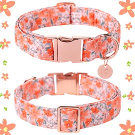 UP URARA PUP Dog Collar for Summer,Orange Flower Dog Collar,Cotton Puppy Collar with Adjustable Buckle for Small,Medium,Large Girl Boy Dog