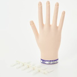 ST Model Hand Right Hand (JNEC 1st Certified Model Hand)