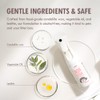 Lady N Non-Stick Coating Spray for Cat Litter Box and