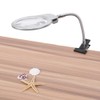 Large Lens Table Top Desk Lamp Lighted Magnifier Magnifying Glass