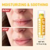 DMSKY Natural Lip Balm Bulk 24 Pack, Moisturizing Lip Balm