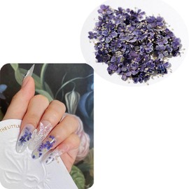 1 Boxes 50 pcs Nail Drying Flower, DIY, 3D Nail Art, Plant Theme, Irregular Shape, Flower Stickers Suitable for Care and Small Natural Nail Decoration, Accessories. (Vienna Blue Purple)