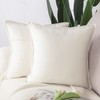 MADIZZ Set of 2 Super Soft Velvet Decorative Throw Pillow