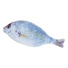 WSHuayee Fish Shape Pen Bag, Zipper Pencil Case, Creative Pencil