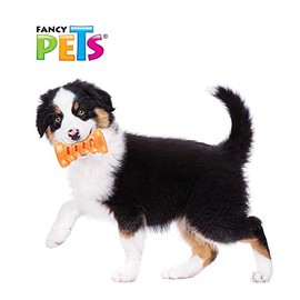 Fancy Pets Juguete Circuito Play para Gato Mediano con Pelota y Pistas Desarmables 112 cm x 6 cm
