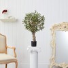 Nearly Natural 2ft. Olive Artificial Tree