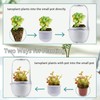 Ronjregan Smart Planter with Timer and Fan, Small Terrarium Kit
