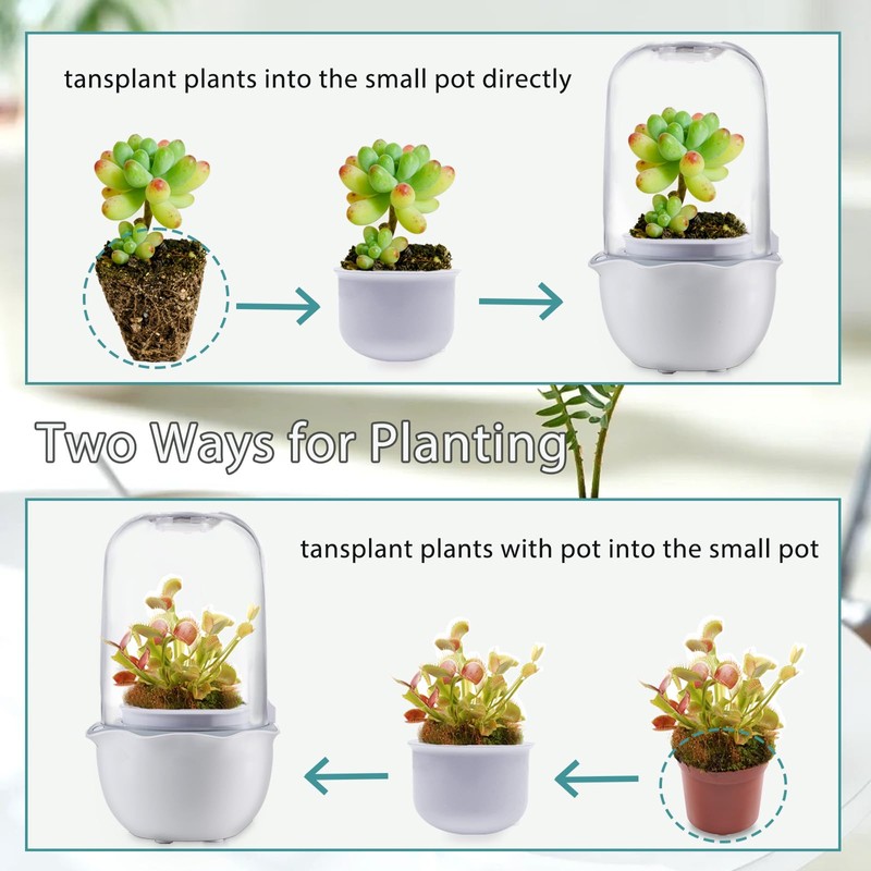 Ronjregan Smart Planter with Timer and Fan, Small Terrarium Kit