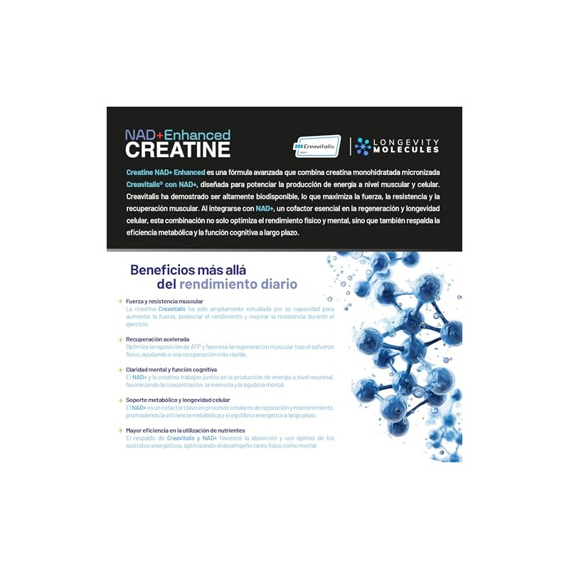 ETERNAL NUTRITION Creatina Monohidratada Micronizada + NAD+ 5 g (550