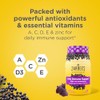 Zarbee’s Daily Immune Support* Gummies with Real Elderberry, Vitamins A,