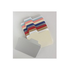 20 Mini File Folders: 5 inches x 3.75 inches - Made from Cardstock in Matte Finish (School red)