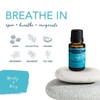  Airome, Essential Oils Blends Set of 6 (Each Bottle: