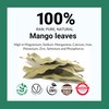 13oz Dried Mango Leaves, Hojas De Mango Secas, 100% Natural