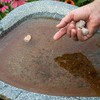 Summit Mosquito Dunks - Eco-Friendly Larvae Control 6-Pack
