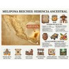 Pack Miel Melipona Pura 100 Natural Cruda Royale Mélipona Ourganics