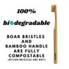 Cepillo de Dientes de Bambú con Cerdas Naturales (SIN Nylon