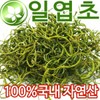 국내자연산 일엽초 10g 말린 일엽초 Domestic Wild Dried One Leaf