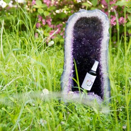 Bijos Security Gemstone Essence – and Trust (100 ml) – Helps to keep Hesitate To Safety Weigh