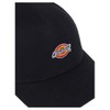 Dickies Hanston Trucker Cap, black