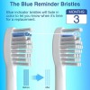 Waterpik Replacement Brush Heads for Waterpik Sonic-Fusion 2.0 Flossing Toothbrush