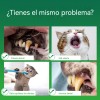 Limpieza De Dientes Para Perros - Pasta Para Perros 2