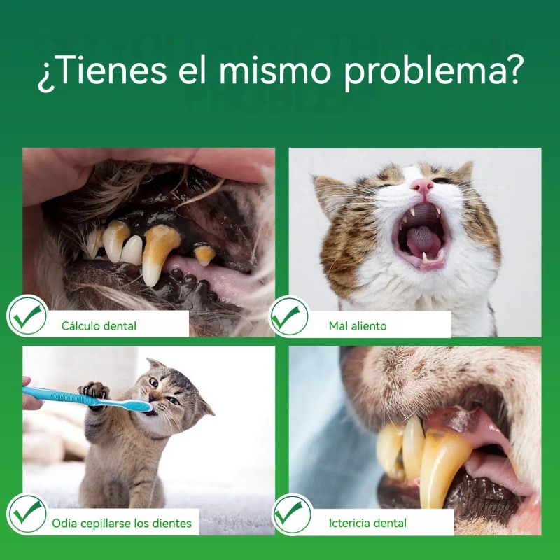Limpieza De Dientes Para Perros - Pasta Para Perros 2