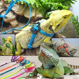 HOKABLE Adjustable 4.72inch Reptile Lizard Harness Leash,Turtle Lizard Pet Traction Belt Bearded Dragon Accessories Soft Small Pet Animal Harness Rope Outdoor Used (Green)