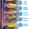 KFPSHLQE 7 Pack Seashells Betta Hammock,Betta Bed Resting Spot,Fish Tank