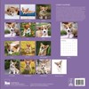 2026 Corgi Puppies Wall Calendar 12 Month | 12" x