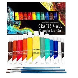 Paint Set for Adults and Kids Acrylic Paint Set for Adults and Kids - 12 Pack of 12mL Paints with 3 Art Brushe