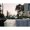 Riedel Ouverture Champagne Glass