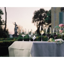 Riedel Ouverture Champagne Glass