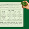Herbion Respiratory Care Lozenges, Mint Flavour Herbal Blend for Throat