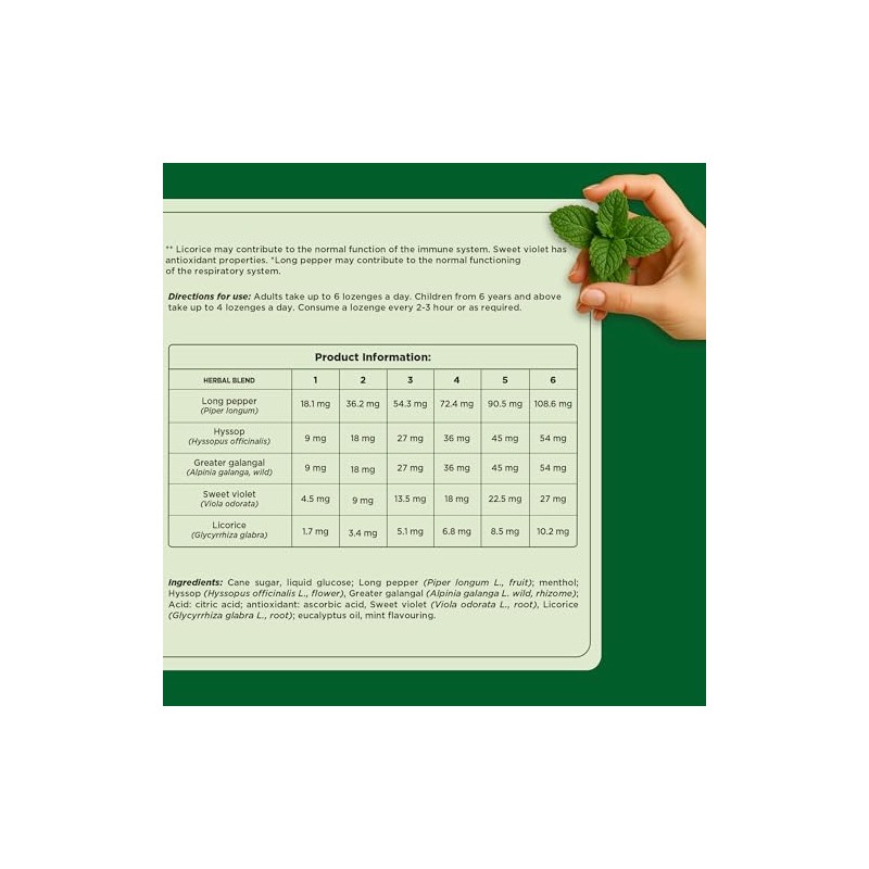 Herbion Respiratory Care Lozenges, Mint Flavour Herbal Blend for Throat
