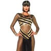 Leg Avenue Goddess Isis Costume (Medium, Black/Gold)