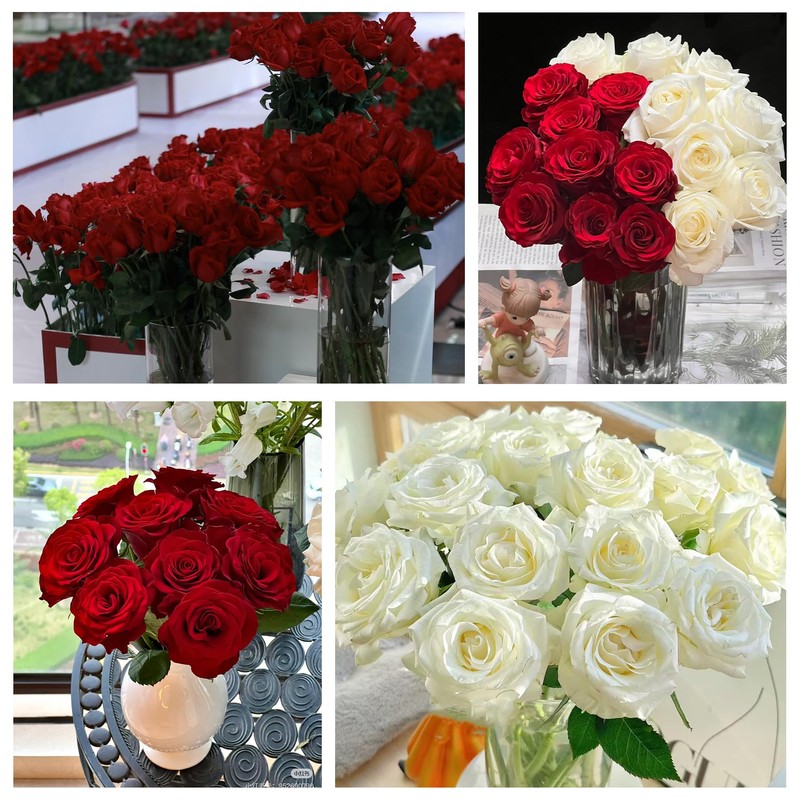60 Pcs Wine Red Artificial Roses Bulk for Wedding Decor