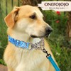 Martingale Collar for Dogs with Blue Geometric Diamonds, Trainer Approved