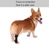 Dog Rear Leg Brace Prevent Licking Fixing Strap Spring Support