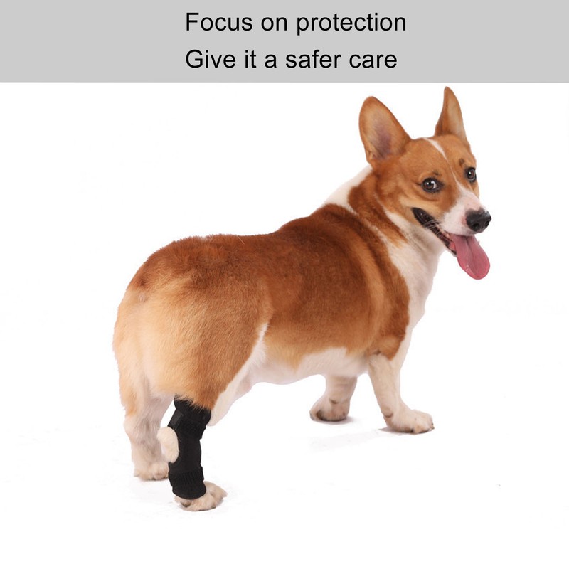 Dog Rear Leg Brace Prevent Licking Fixing Strap Spring Support